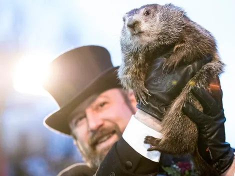 ¿Qué es el Día de la Marmota y por qué se celebra hoy?