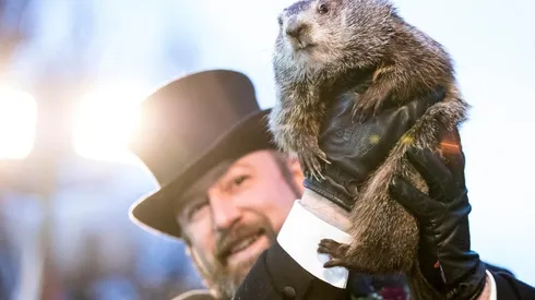 Marmota Punxsutawney Phil