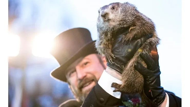 Marmota Punxsutawney Phil