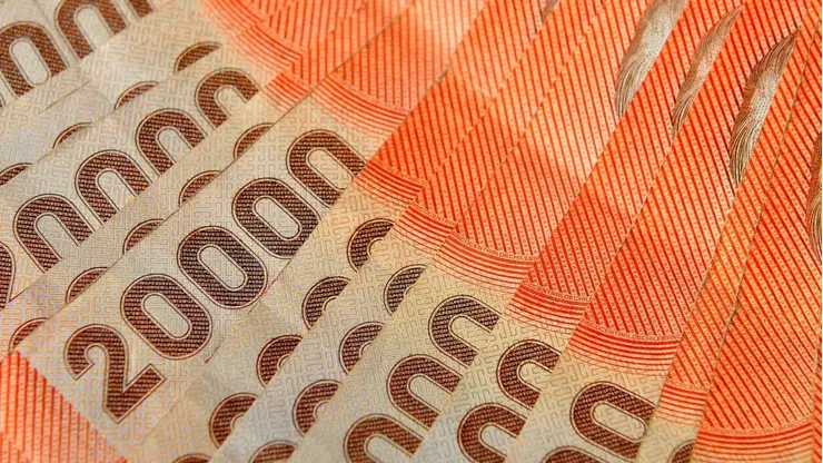 Pensión Garantizada Universal 2024.