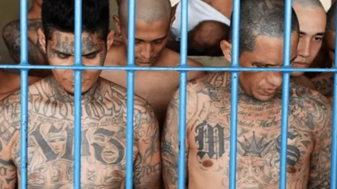 Gobierno habla sobre maras en Chile