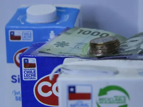 Consulta con tu RUT si tienes el Bono Canasta Familiar de enero