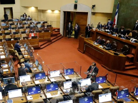 ¿De qué partidos son los expertos constitucionales y cuál es su profesión?