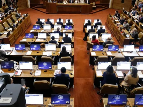 ¿Quiénes son los 12 expertos elegidos por el Congreso?