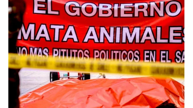 El SAG reaccionó ante la protesta con el león muerto en La Moneda.