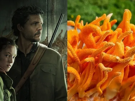 Conoce el hongo que devastó el mundo de The Last of Us
