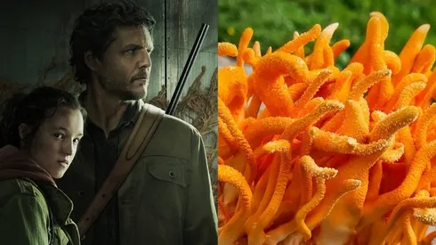 The Last of Us debutó este domingo en HBO Max.