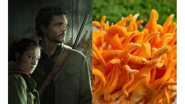 The Last of Us debutó este domingo en HBO Max.