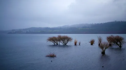 El Lago Villarrica en 2018 también presentaba problemas de contaminación.