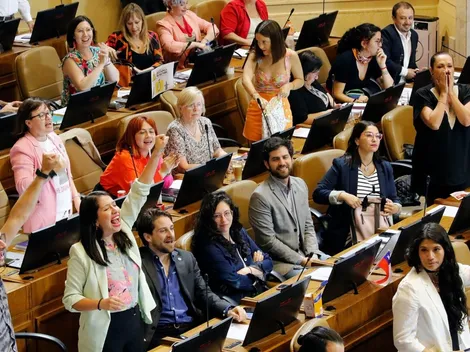 ¿Cuándo se vota por los que redactarán la nueva Constitución?