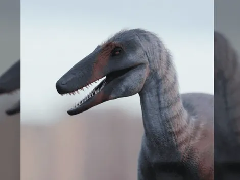 Descubren dinosaurio en la Patagonia