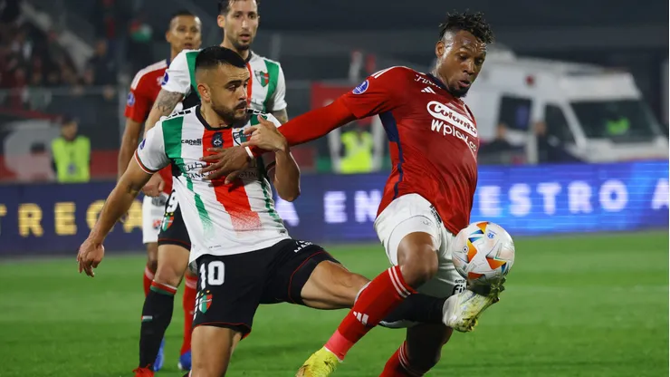 Palestino se despidió con boleta de la Sudamericana