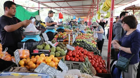 Conoce cuáles son los montos del Bono Canasta Básica.