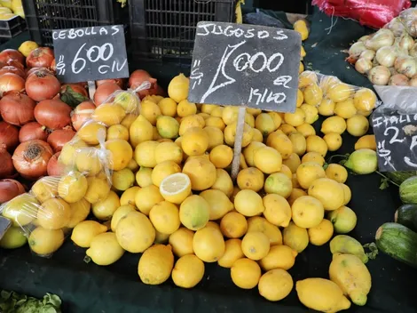 ¿Cómo se puede postular al Bono Canasta Familiar?