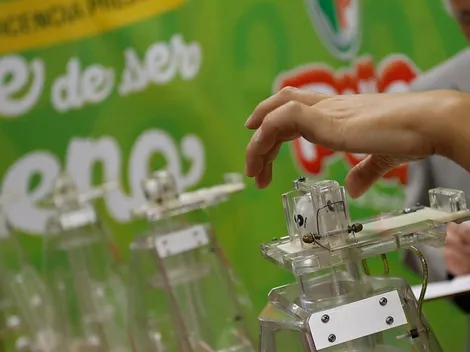 ¿Cuáles son los premios de la Suerte de ser Chileno?