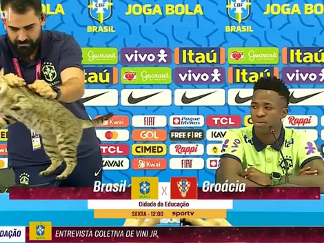 ¿La maldición del gato? Demandan a Brasil por maltrato animal