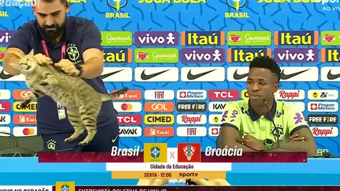 ¿La maldición del gato? Demandan a Brasil por maltrato animal