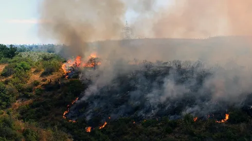 Incendio forestal en Jardín Botánico