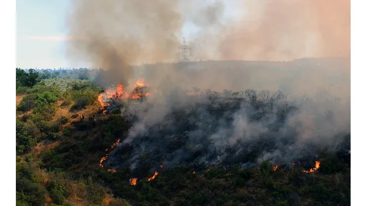Incendio forestal en Jardín Botánico