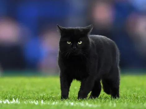 ¿Por qué el martes 13 es un día de mala suerte?