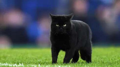 ¿Por qué el martes 13 es un día de mala suerte?