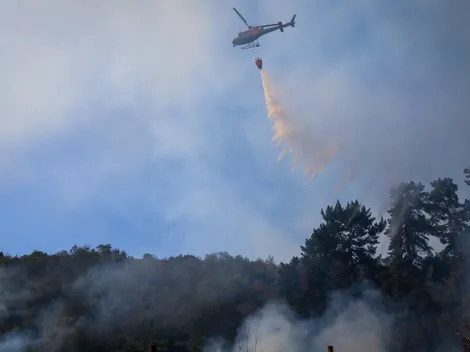Incendios forestales: ¿Qué significa alerta roja según la Onemi?
