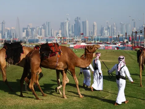 Kenotrotamundos: Panoramas en días sin fútbol en Qatar