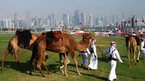 Panoramas en días sin fútbol en Qatar: Andar en camello. Una instancia que aprovechó Eugenio Salinas, Kenotrotamundos en RedGol.