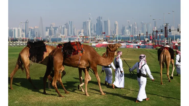 Panoramas en días sin fútbol en Qatar: Andar en camello. Una instancia que aprovechó Eugenio Salinas, Kenotrotamundos en RedGol.