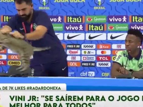 Gato interrumpe conferencia de Vinicius y jefe de prensa lo lanza lejos