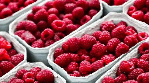 Retiran más de 1.200 cajas de frambuesas chilenas de EEUU