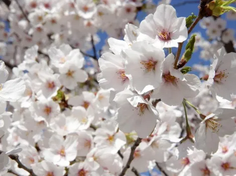 Horóscopo lunes 5 de diciembre de 2022