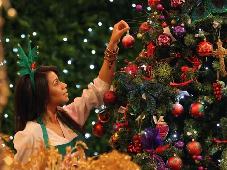 ¿Cuándo se pone el árbol de Navidad?