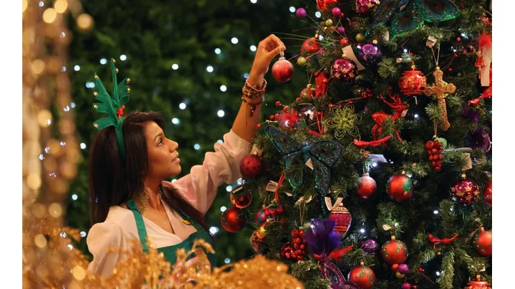 ¿Cuándo se pone el árbol de Navidad?