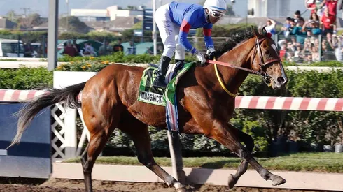 11 caballos correrán en el Hipódromo de Chile.