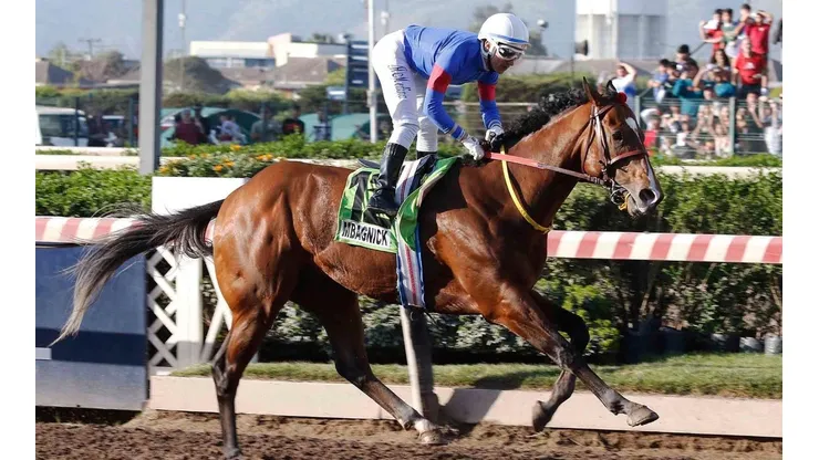 11 caballos correrán en el Hipódromo de Chile.