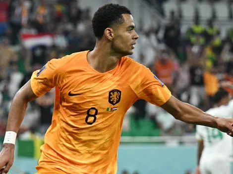 ¿Quién es Cody Gakpo, la figura de Países Bajos?