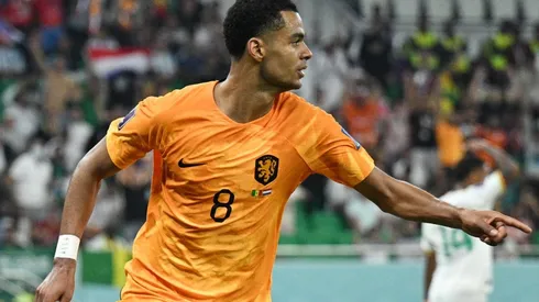 ¿Quién es Cody Gakpo, la figura de Países Bajos?