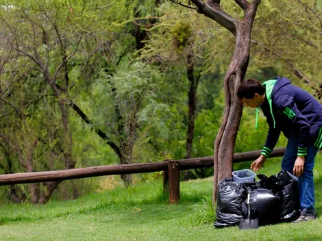 Virus Hanta: ¿Cómo evitar el contagio y cuáles son los síntomas?