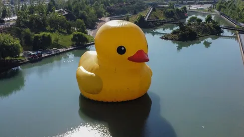 Pao de Hule Festival Hecho en Casa