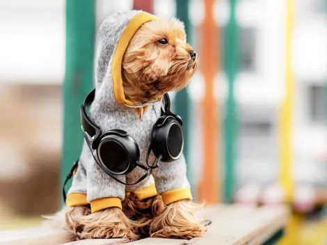 ¿Cuándo y dónde es la EXPOPET 2022?