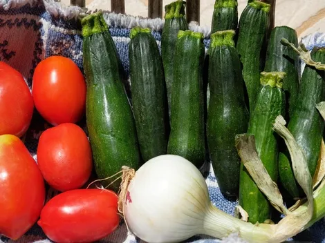 Receta de Budín de Zapallo Italiano