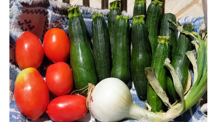 Zapallo italiano