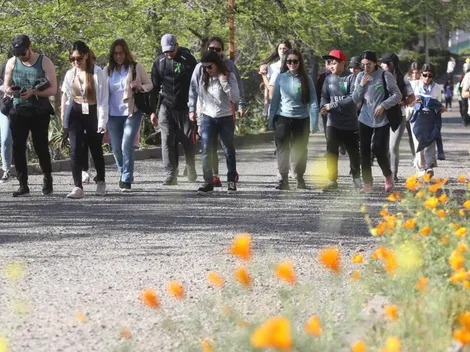 Una jornada para meditar: Hoy es el Día Mundial de la Diabetes