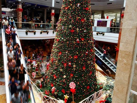 ¿Desde cuándo se arma el árbol de navidad y cuál es el origen de este?