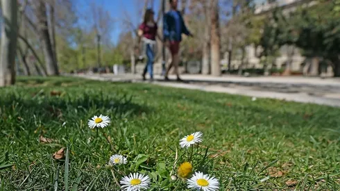 Conoce aquí el pronóstico del tiempo para esta semana en Santiago