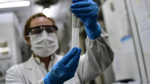 ¿Por qué la nueva cepa de coronavirus se llama Perro del Infierno?