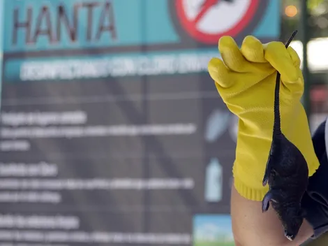 Detectan el primer caso de Hanta virus