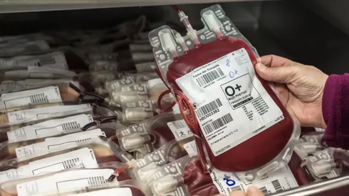 Científicos realizan exitosa transfusión de sangre cultivada en laboratorio