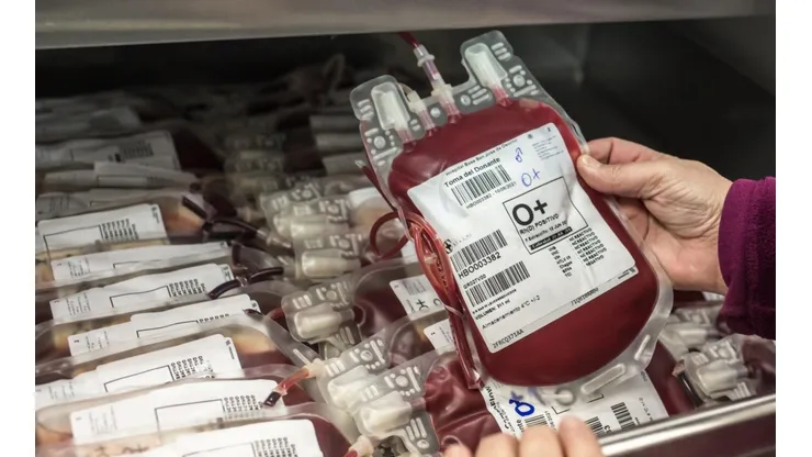 Científicos realizan exitosa transfusión de sangre cultivada en laboratorio